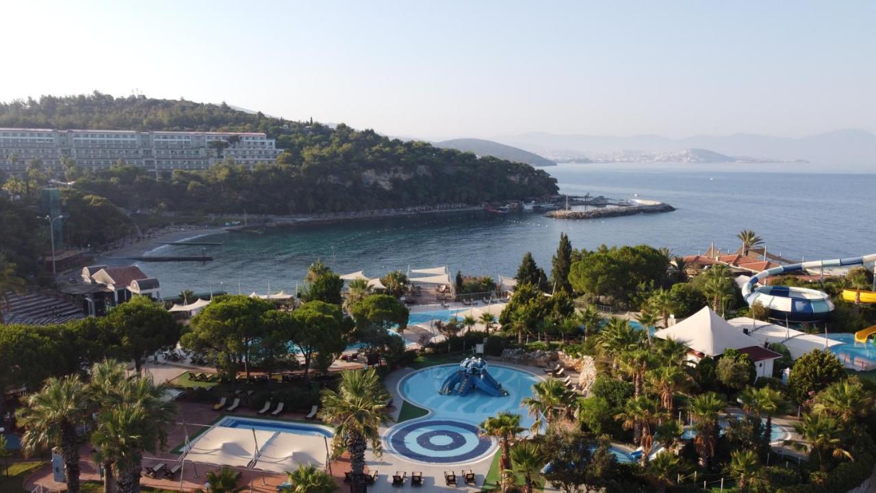 Resort Pine Bay