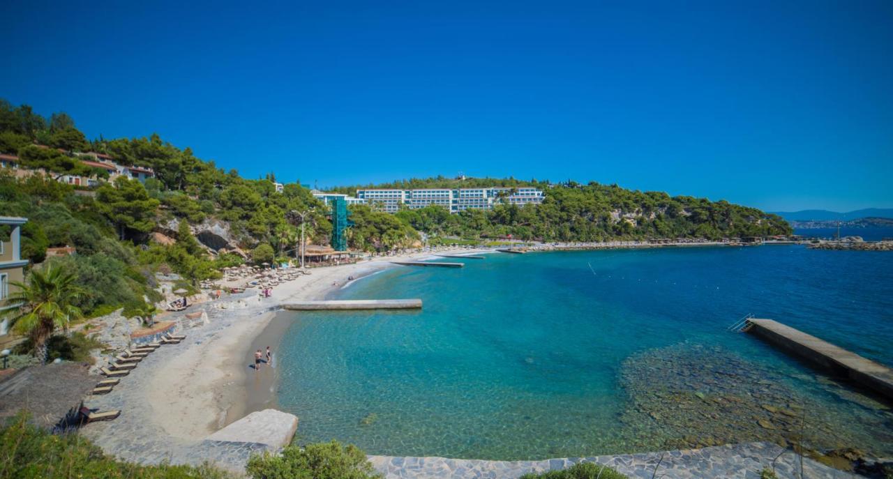 Pine Bay
