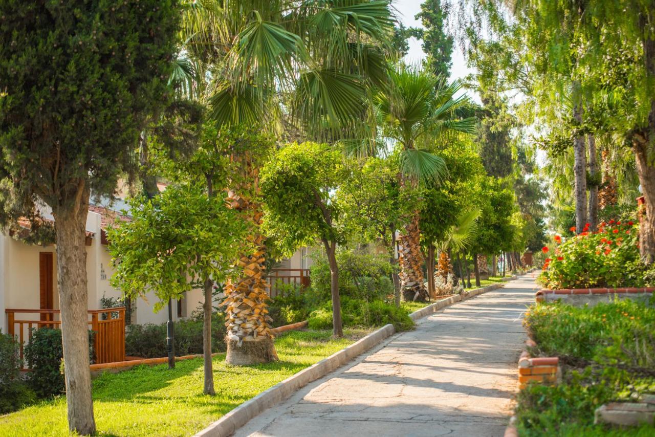 Pine Bay 5* Kusadası