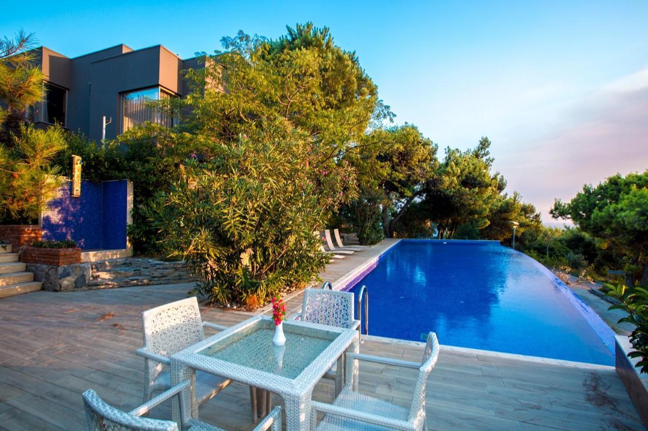 Complex Pine Bay 5*